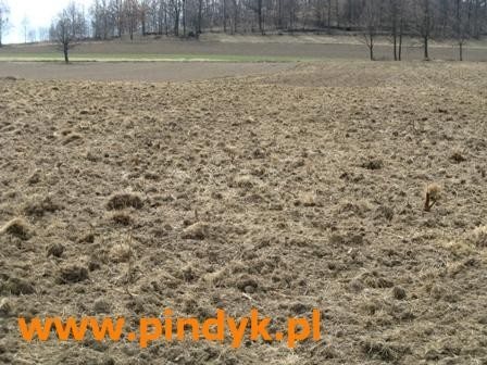 Działka budowlana na sprzedaż polska, Łomnica, Łomnica 3 118m2 Foto 2