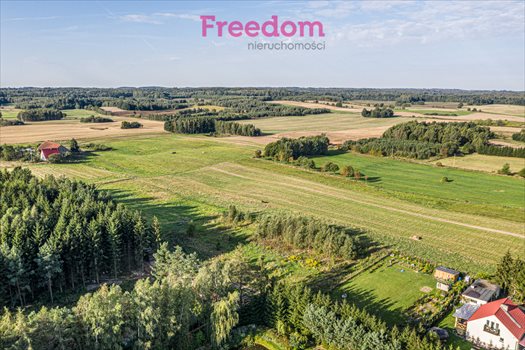 Działka inna na sprzedaż Pogrodzie 985m2 Foto 5