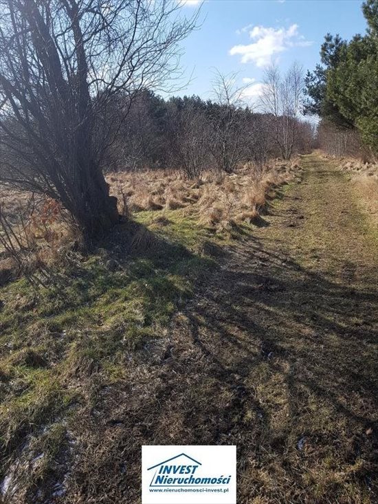 Działka inna na sprzedaż Nowęcin, Jezioro, Las, Tereny rekreacyjne 1 720m2 Foto 4