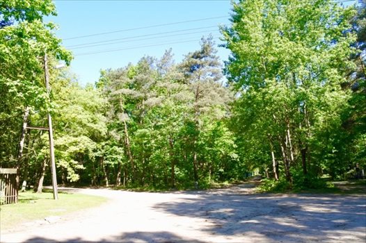 Działka budowlana na sprzedaż Sokolniki-Las, Jagiellońska 982m2 Foto 7
