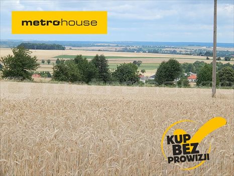 Działka inna na sprzedaż Janów, Chełm 33 379m2 Foto 1