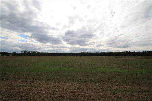 Działka budowlana na sprzedaż Kotórz Mały 13 410m2 Foto 1