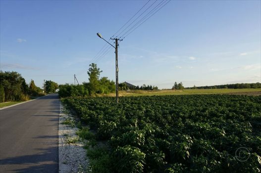 Działka inna na sprzedaż Astachowice 1 170m2 Foto 5