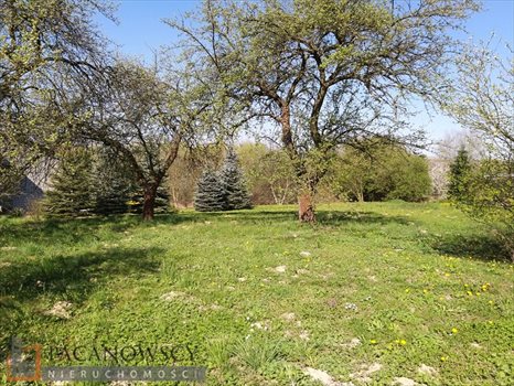 Działka budowlana na sprzedaż Dziekanowice 800m2 Foto 2