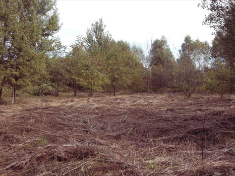 Działka budowlana na sprzedaż Otwock, Jabłonna, Niezapominajki 857m2 Foto 4