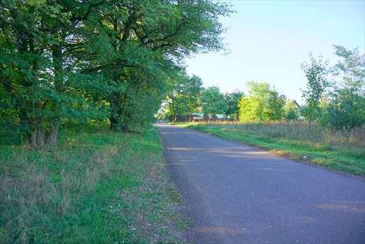 Działka komercyjna na sprzedaż Radziejowice-Parcel 3 900m2 Foto 13