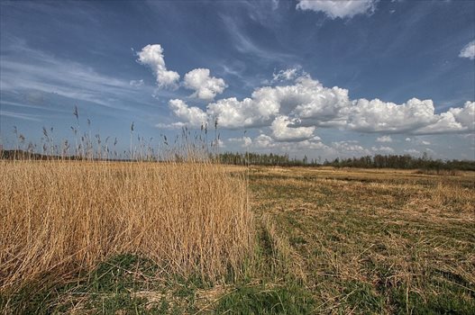 Działka rolna na sprzedaż Kołczewo 22 223m2 Foto 4