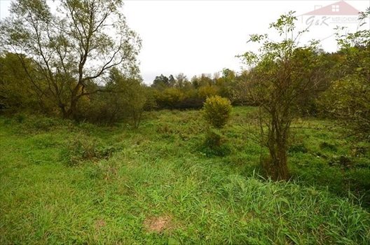 Działka rekreacyjna na sprzedaż Rybotycze 1 400m2 Foto 6