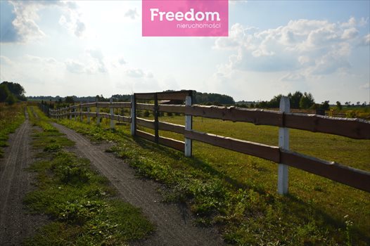 Działka budowlana na sprzedaż Koziki 1 500m2 Foto 7