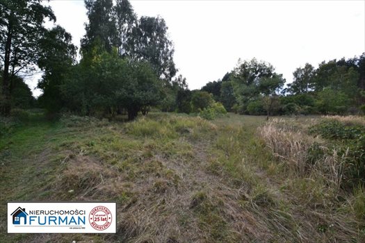 Działka siedliskowa na sprzedaż Biała 28 600m2 Foto 2