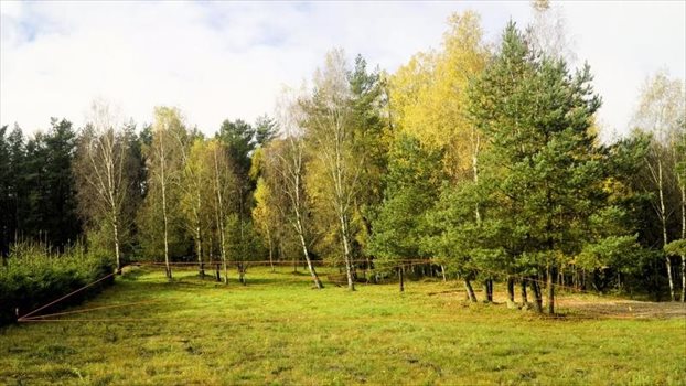 Działka budowlana na sprzedaż Dobrzewino, Chłopska 2 382m2 Foto 3