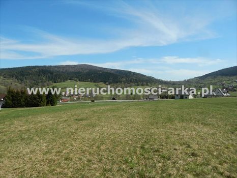 Działka budowlana na sprzedaż Kasina Wielka 3 300m2 Foto 1