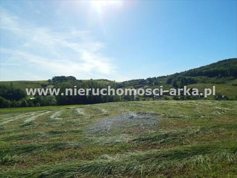 Działka budowlana na sprzedaż Skrzydlna 1 450m2 Foto 5