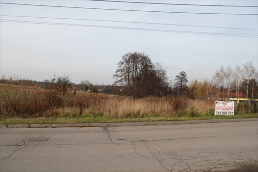Działka budowlana na sprzedaż Mikołów, Stara Droga 2 450m2 Foto 2