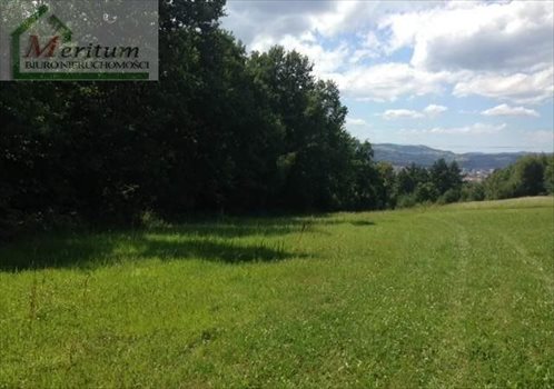 Działka budowlana na sprzedaż Nowy Sącz 2 000m2 Foto 3