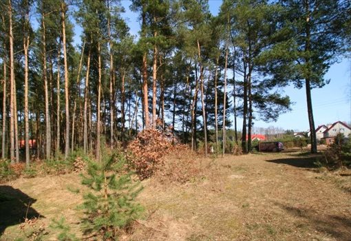 Działka budowlana na sprzedaż Sitno, xxx 4 139m2 Foto 6