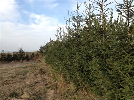 Działka budowlana na sprzedaż Płonkówko 1 241m2 Foto 2