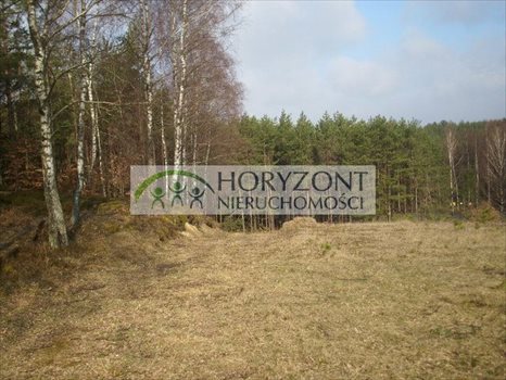 Działka budowlana na sprzedaż Gołubie 972m2 Foto 6