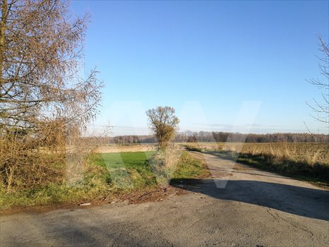 Działka budowlana na sprzedaż Ćwiklice 800m2 Foto 1
