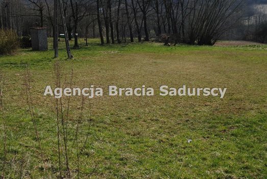 Działka inna na sprzedaż Włosań 1 500m2 Foto 2