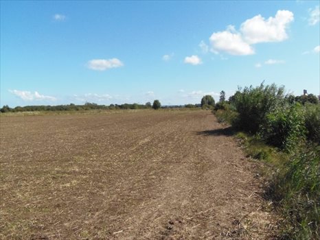 Działka inna na sprzedaż Nowy Dwór Gdański, Zagonowa 9 066m2 Foto 11
