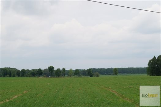 Działka budowlana na sprzedaż Winnica 1 500m2 Foto 2