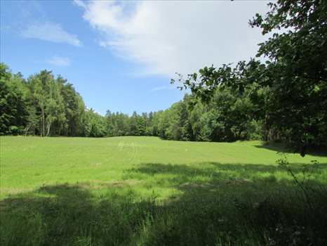 Działka rolna na sprzedaż Łagówek 16 100m2 Foto 1