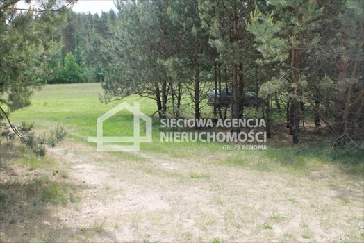 Działka budowlana na sprzedaż Lubowidz 1 621m2 Foto 7