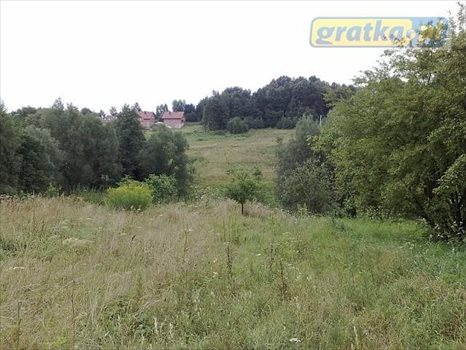 Działka inna na sprzedaż Mogilany, Gaj ul .Maryjna 16 600m2 Foto 1