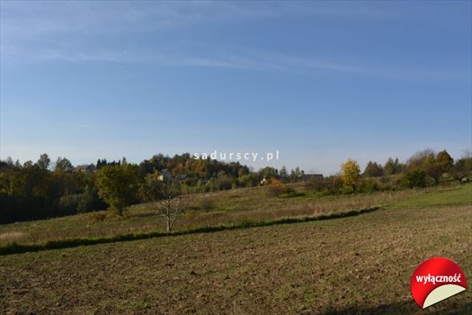 Działka budowlana na sprzedaż Grajów 3 700m2 Foto 9