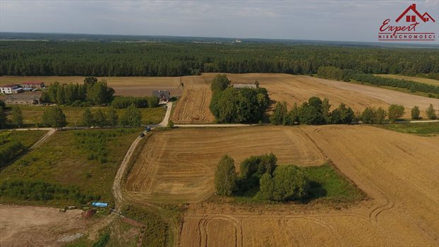 Działka inna na sprzedaż Turznica 6 800m2 Foto 5