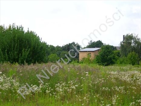 Działka budowlana na sprzedaż Pruszków 594m2 Foto 2