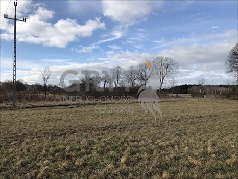 Działka inwestycyjna na sprzedaż Bierkowo 10 000m2 Foto 6
