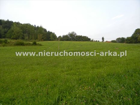 Działka budowlana na sprzedaż Porąbka 15 000m2 Foto 3