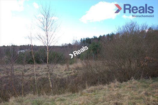Działka budowlana na sprzedaż Wrzeście 1 430m2 Foto 6