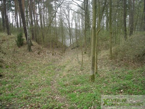 Działka budowlana na sprzedaż Bledzew 1 000m2 Foto 5