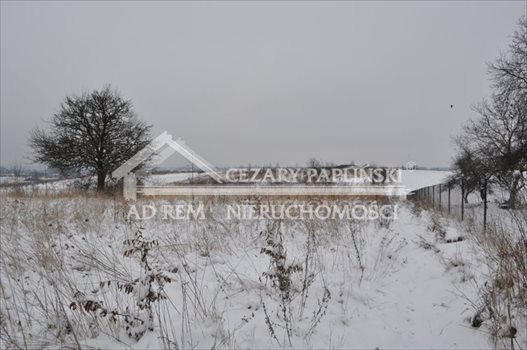 Działka rolna na sprzedaż Dąbrowica, Dąbrowica 2 200m2 Foto 5
