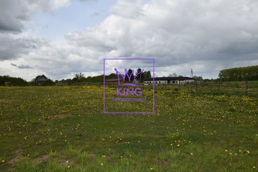 Lokal użytkowy na sprzedaż Rożnowo Nowogardzkie 120 000m2 Foto 5