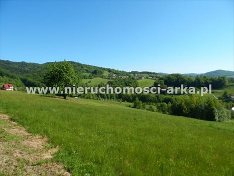 Działka budowlana na sprzedaż Limanowa 1 060m2 Foto 2