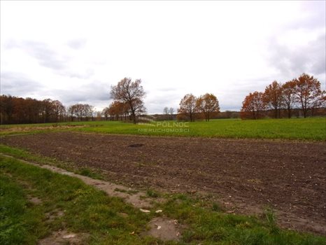 Lokal użytkowy na sprzedaż Golnice 200 000m2 Foto 7
