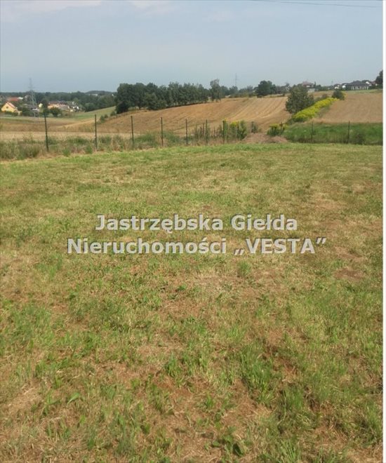 Działka inna na sprzedaż Jastrzębie-Zdrój, Ruptawa 807m2 Foto 4