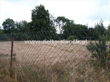 Działka budowlana na sprzedaż Izbica 1 248m2 Foto 2