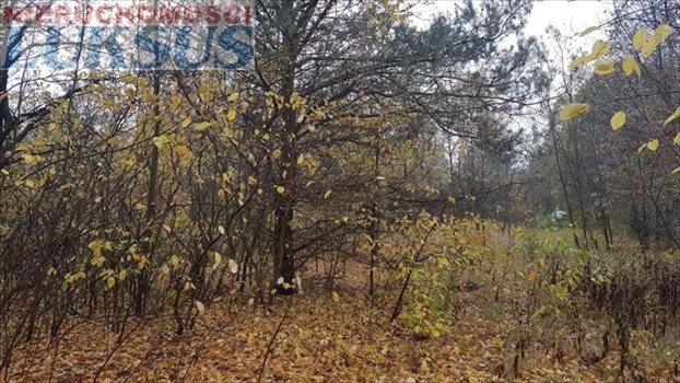 Działka budowlana na sprzedaż Sękocin Nowy 1 075m2 Foto 3
