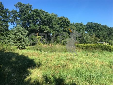 Działka inna na sprzedaż Dębina 2 500m2 Foto 6