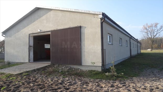 Działka rolna na sprzedaż Jaźwiny 521 469m2 Foto 7