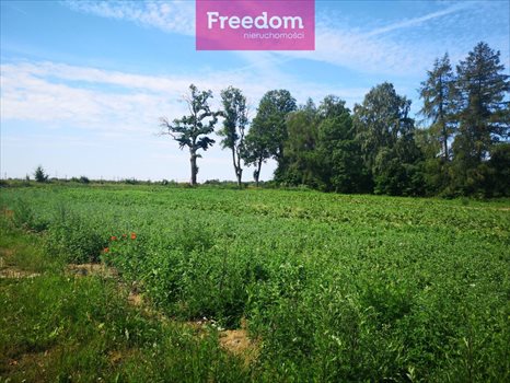 Działka budowlana na sprzedaż Osieki Lęborskie 3 640m2 Foto 2