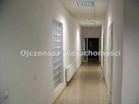 Działka inna na sprzedaż Brzoza 4 780m2 Foto 4