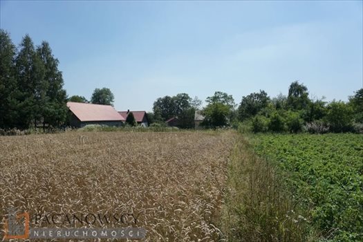 Działka inna na sprzedaż Cianowice Duże 8 300m2 Foto 6
