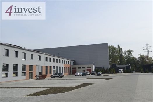 Lokal użytkowy na wynajem Katowice, Dąb 45m2 Foto 4