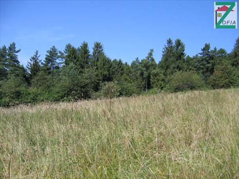 Działka rolna na sprzedaż RABKA-ZDRÓJ 4 159m2 Foto 1